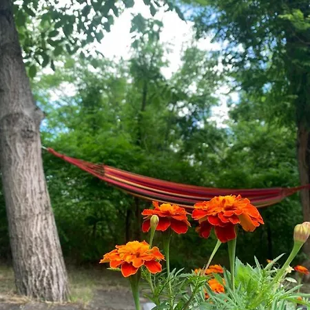 Sumska Kuca Sandy Σπίτι διακοπών Banatski Karlovac