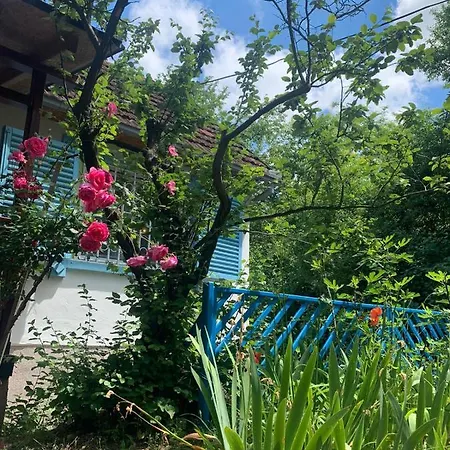 Sumska Kuca Sandy Σπίτι διακοπών