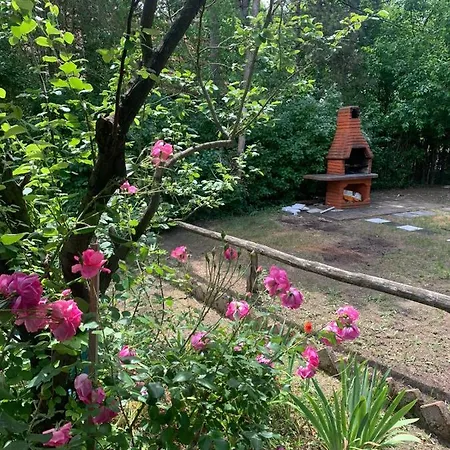 Sumska Kuca Sandy Σπίτι διακοπών