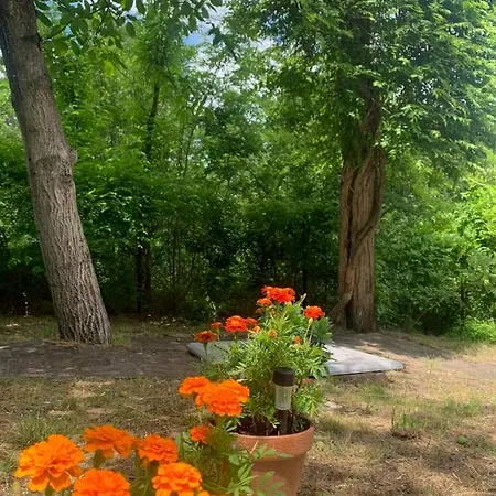 Σπίτι διακοπών Sumska Kuca Sandy Banatski Karlovac