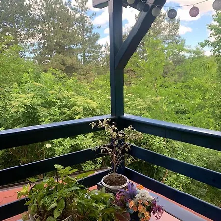 Sumska Kuca Sandy Σπίτι διακοπών Banatski Karlovac