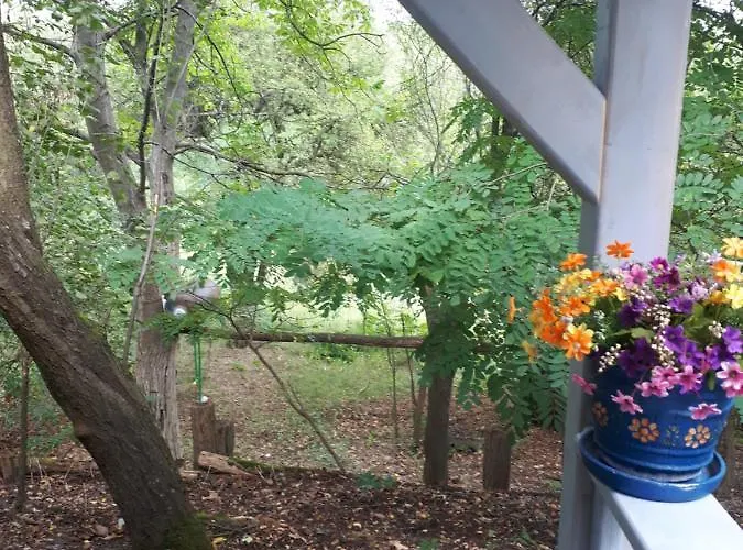 Holiday home Sumska Kuca Sandy *