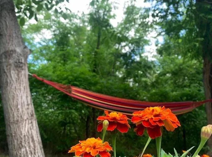 Sumska Kuca Sandy Holiday home Banatski Karlovac