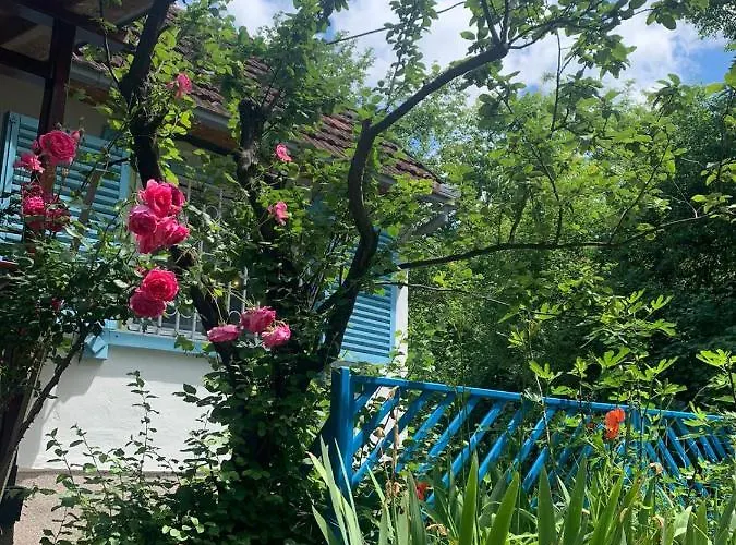 Sumska Kuca Sandy Holiday home