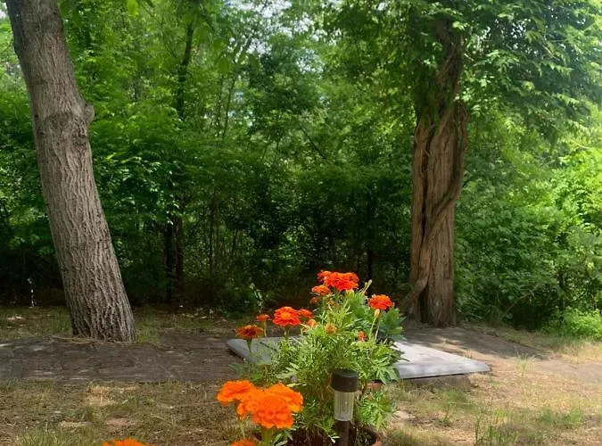 Holiday home Sumska Kuca Sandy Banatski Karlovac