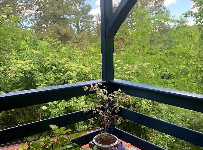 Sumska Kuca Sandy Holiday home Banatski Karlovac